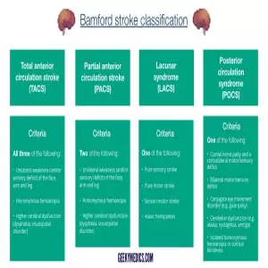 Bamford-Oxford-stroke-classification